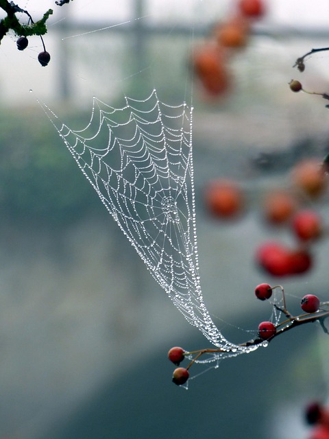 humidity