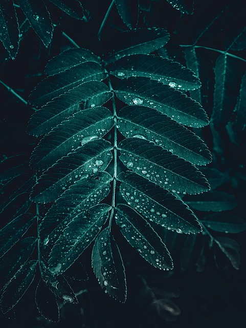 humidity-640x480-50948121.jpeg