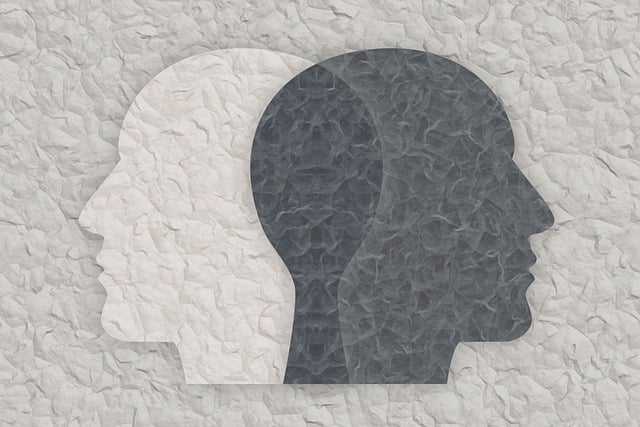 insights-640x480-2498148.jpeg