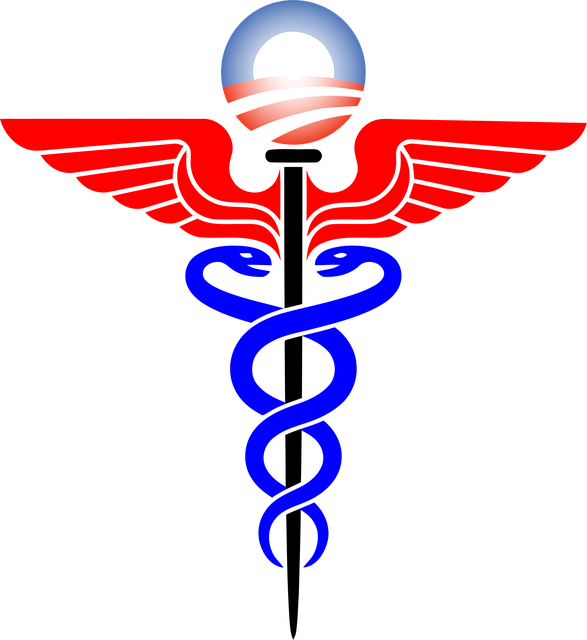 insurance