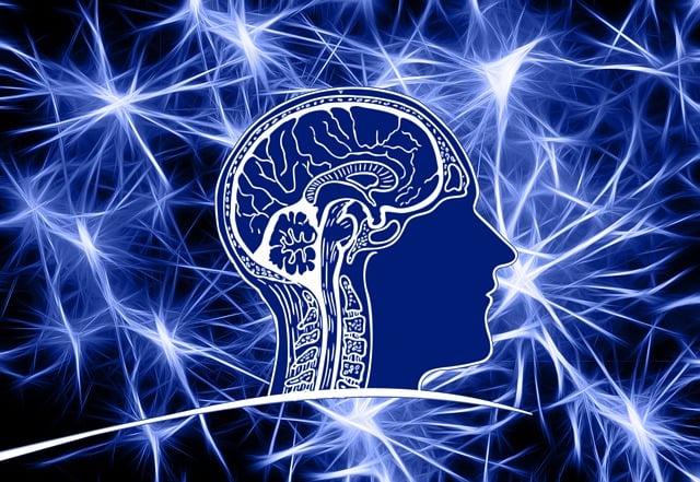 intelligent-640x480-22099697.jpeg