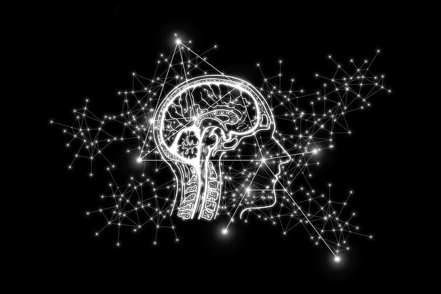 intelligent-640x480-43999220.jpeg