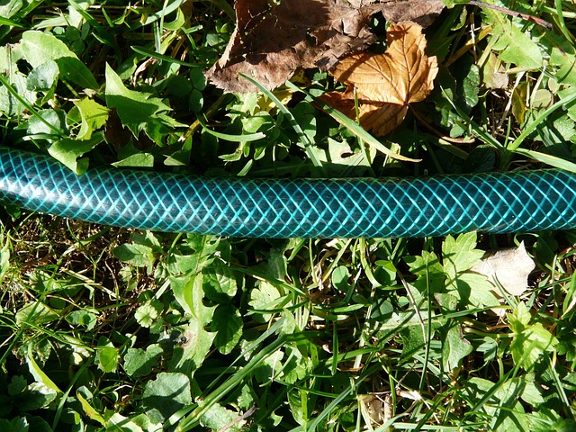 irrigation