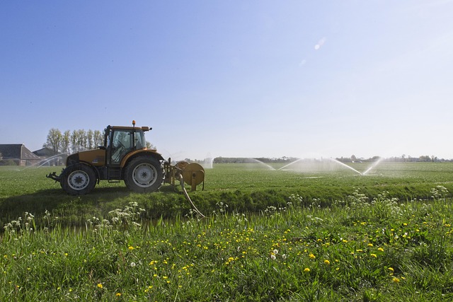 irrigation