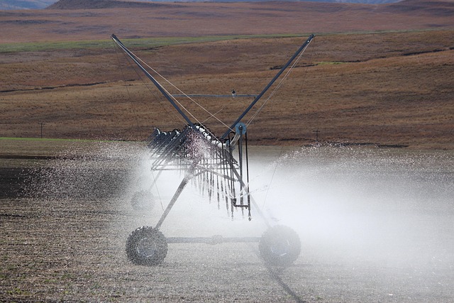 irrigation