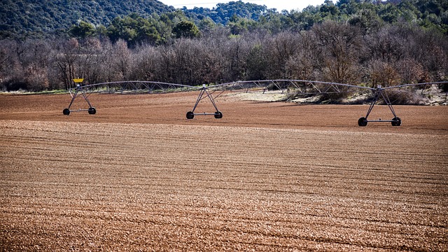 irrigation