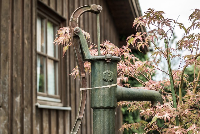 irrigation