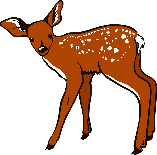 juvenile