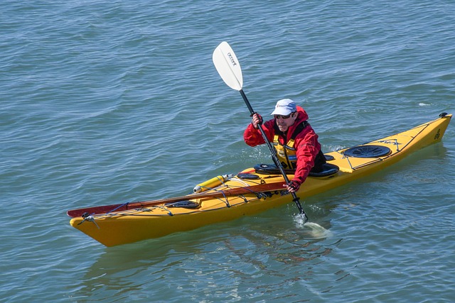 kayaking-640x480-70582767.jpeg