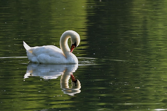 lake