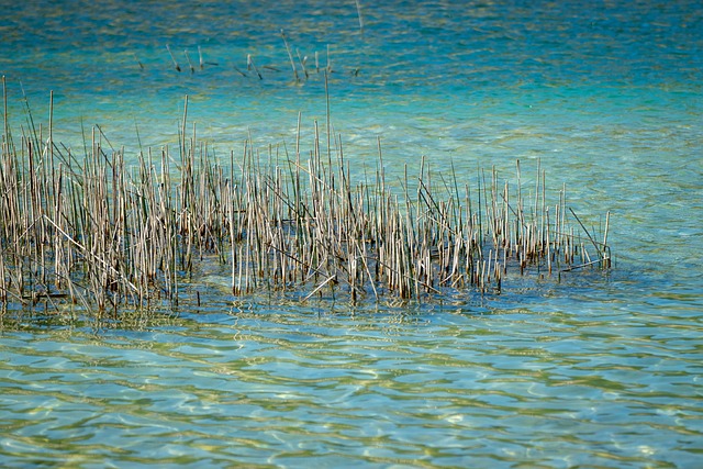 lake