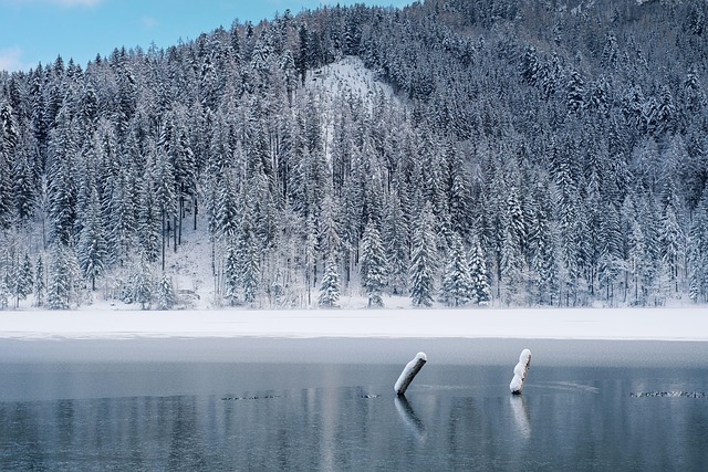 lakes