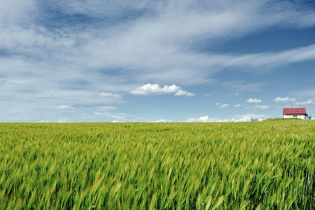 landscape-640x480-19653704.jpeg