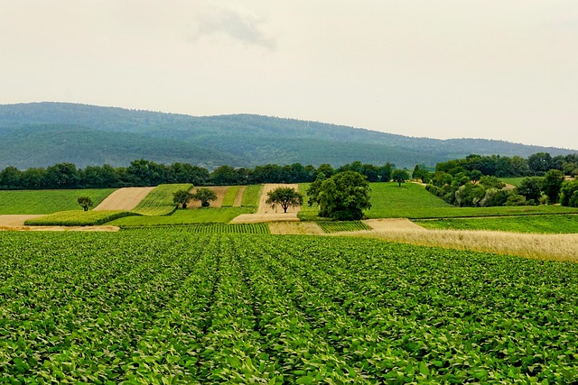 landscape-640x480-91786469.jpeg