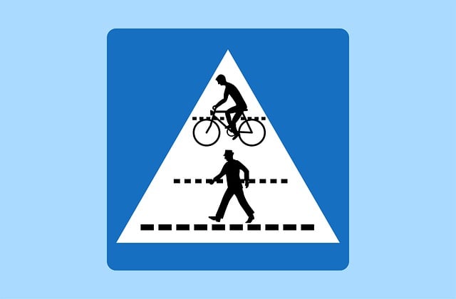 Lane