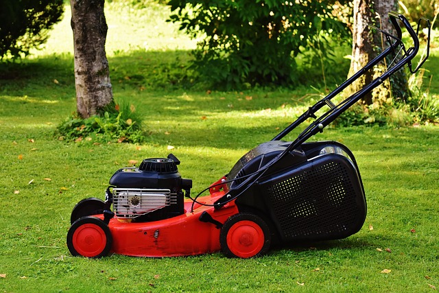 Lawn Care Fundamentals: Professional Landscaping Solutions for Healthy Greens