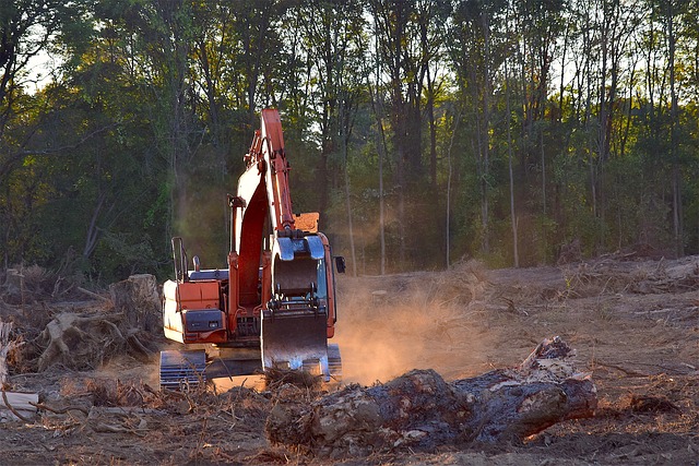 logging
