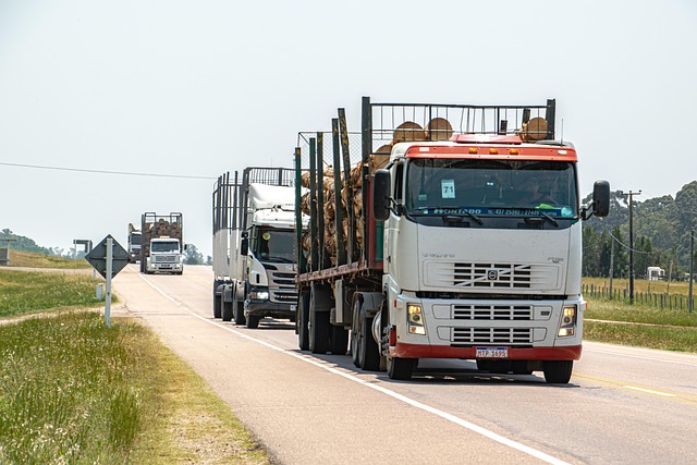 logging