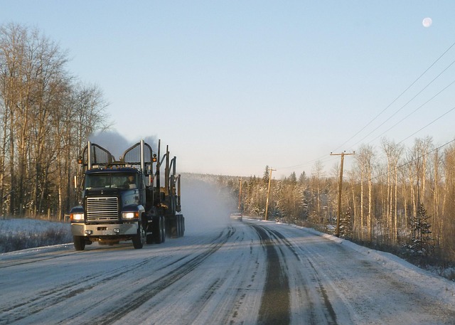 logging