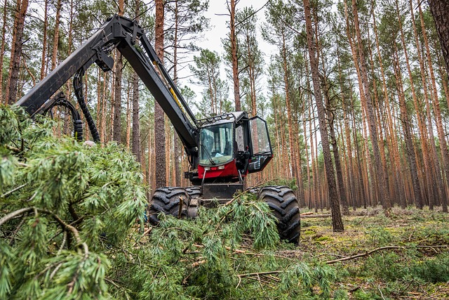 logging-640x480-34805553.jpeg