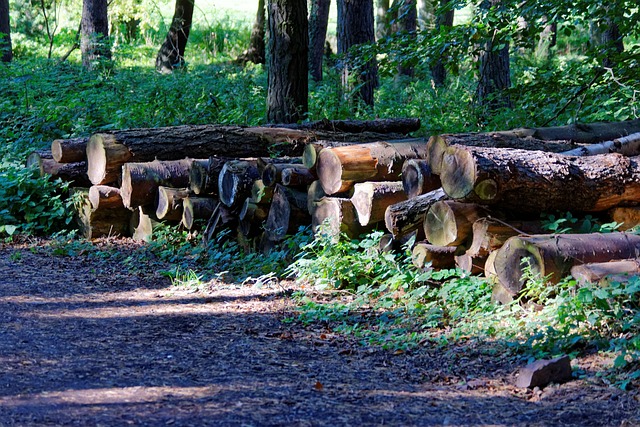 logging