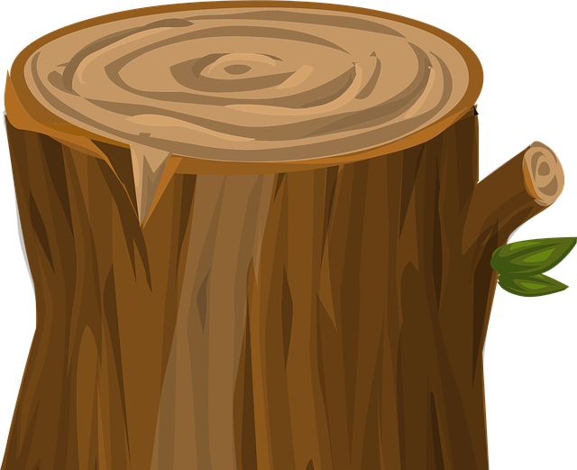 logging