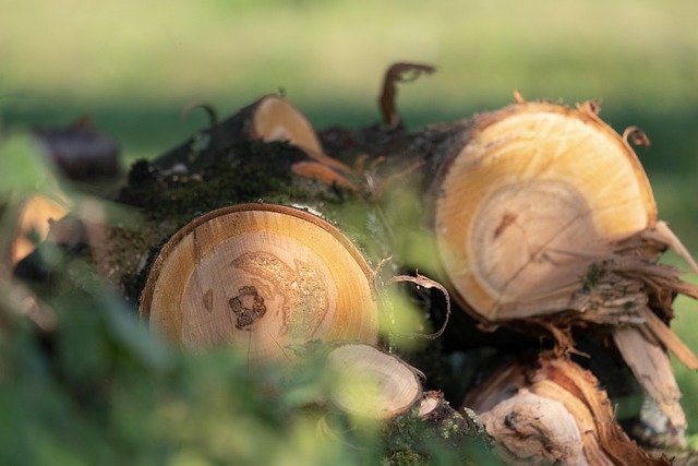 logging