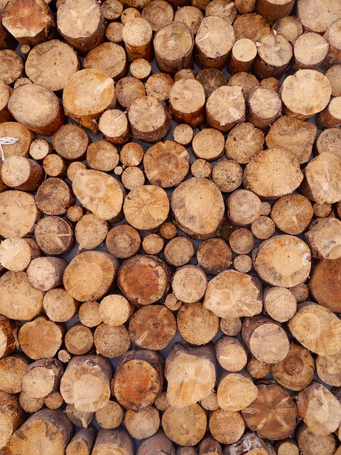 logging