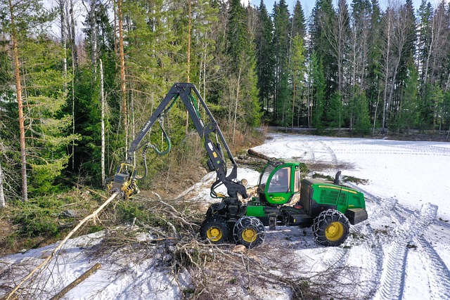 logging