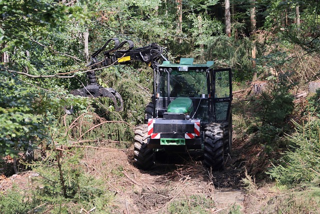 logging-640x480-89703544.jpeg