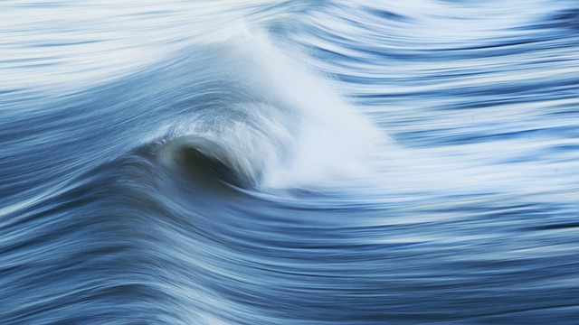 marine-640x480-81034850.jpeg
