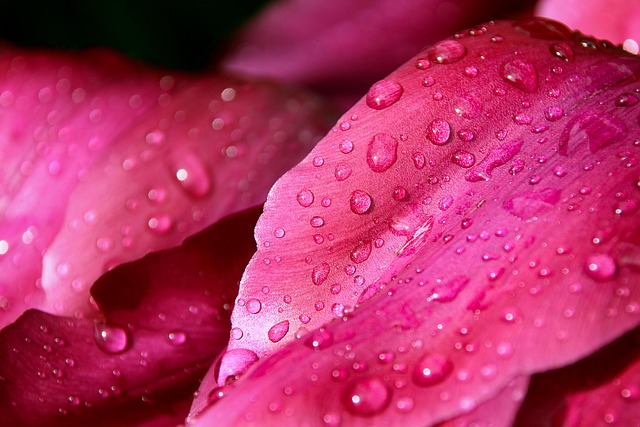 moisture-640x480-17966589.jpeg