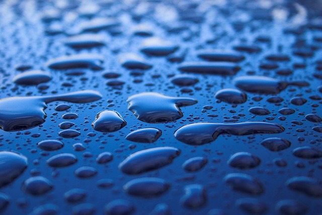 moisture