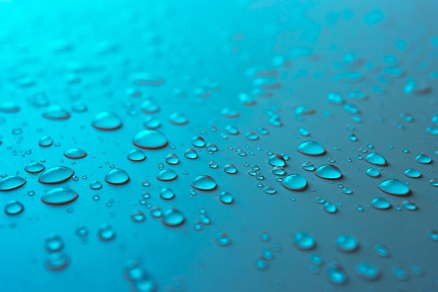 moisture