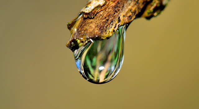 moisture