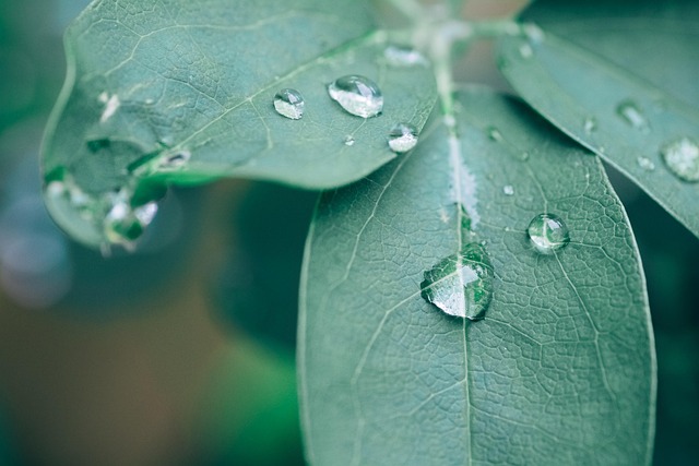 moisture