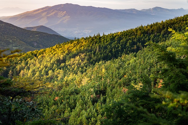 mountains