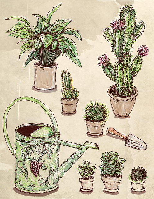 Nature
