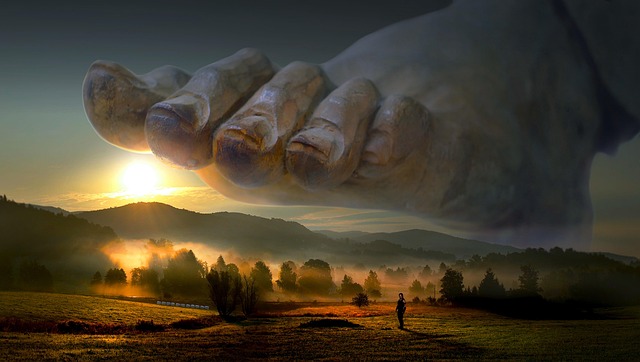 nature-640x480-34900253.jpeg