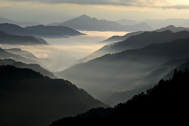 nature-640x480-43018612.jpeg