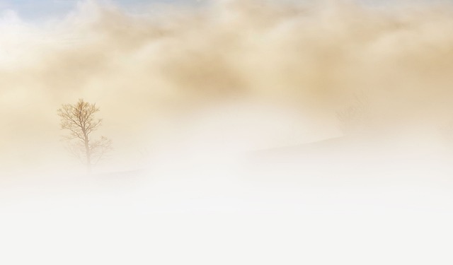 nature-640x480-43597129.jpeg