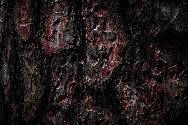 nature-640x480-4846929.jpeg