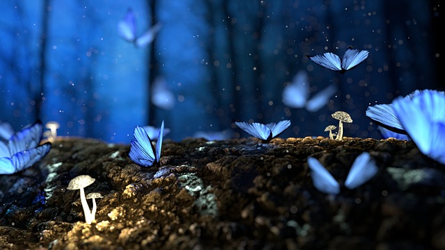 nature-640x480-49412392.jpeg