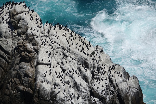 nature-640x480-54375937.jpeg