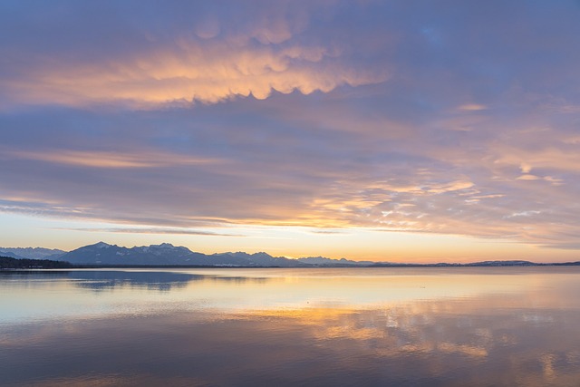 nature-640x480-7146839.jpeg