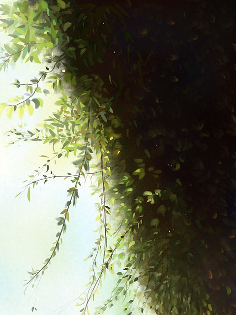 nature-640x480-71730630.jpeg