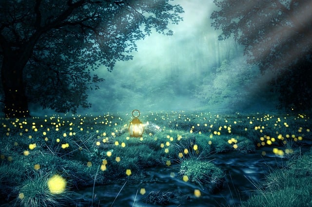 nature-640x480-78369548.jpeg