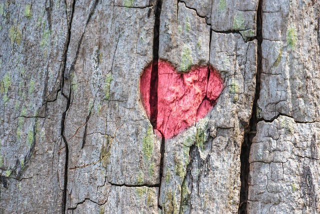nature-640x480-81799926.jpeg