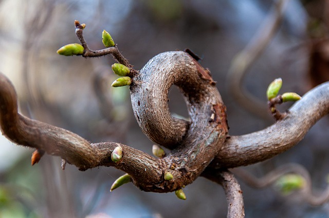 nature-640x480-97551376.jpeg