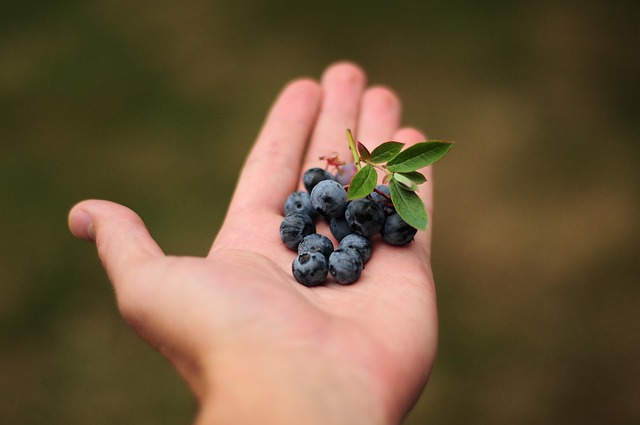 nutrition